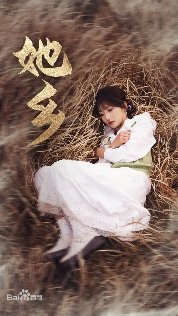 《她乡》：漂泊异国的女性群像，寻找身份认同与归属感的深刻旅程