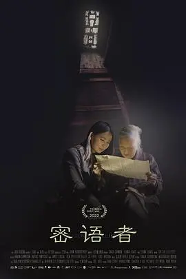 《密语者》影评：迷雾重重的瑞士谍影，真相与谎言的交织(2013)