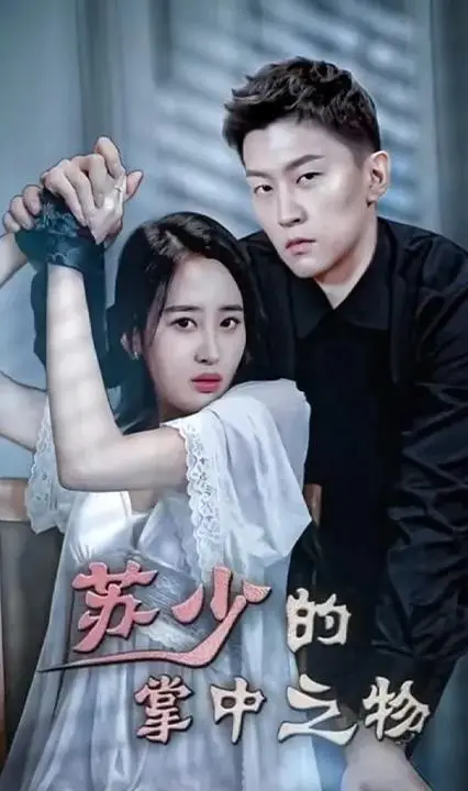 揭秘《苏少的掌中之物》：操控欲望与命运的反转惊悚之旅