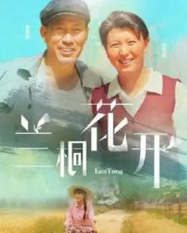 《兰桐花开》：乡村振兴路上的时代赞歌，谱写新时代女性的奋斗故事