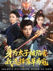《身为太子被陷害，我选择落草为寇》：当宫廷权谋遇上江湖侠义，一场颠覆性的逆袭史诗